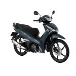 xanh đen bạc đặc biệt